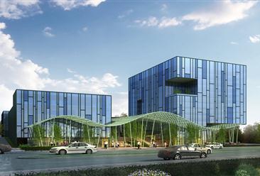 竹行業(yè)研究報告-竹行業(yè)分析報告-竹市場調(diào)研報告