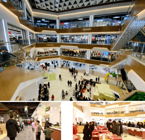 榮耀啟航 慶云開啟商貿(mào)集群發(fā)展新時(shí)代